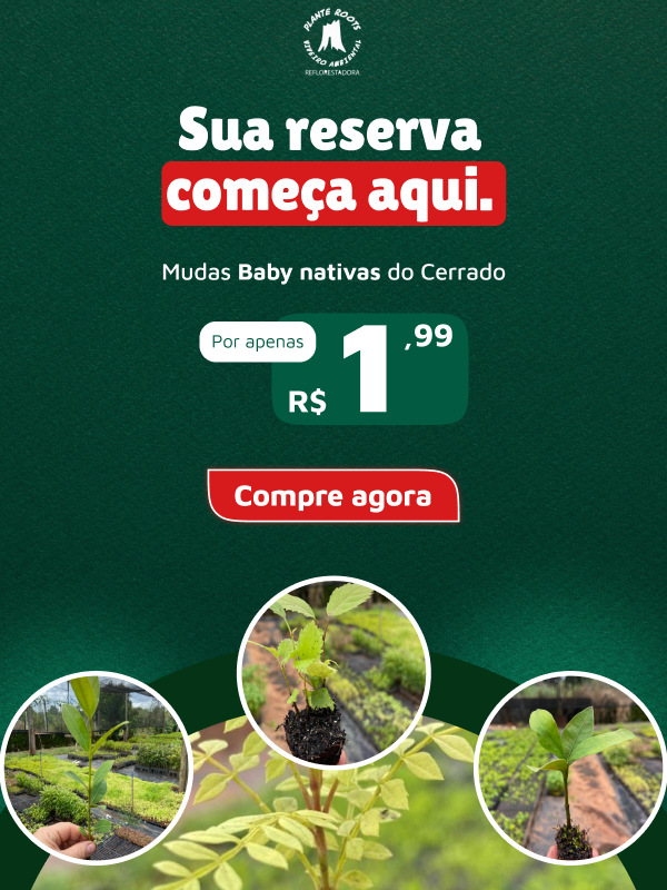 viveiro-ambiental-mini-mudas-nativas-oferta