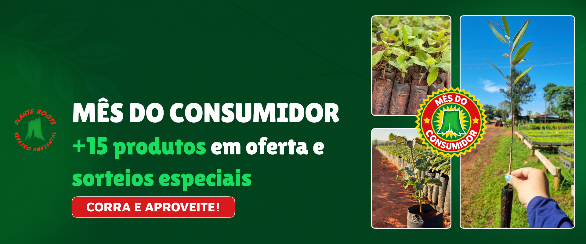 viveiro-ambiental-mes-do-consumidor-ofertas
