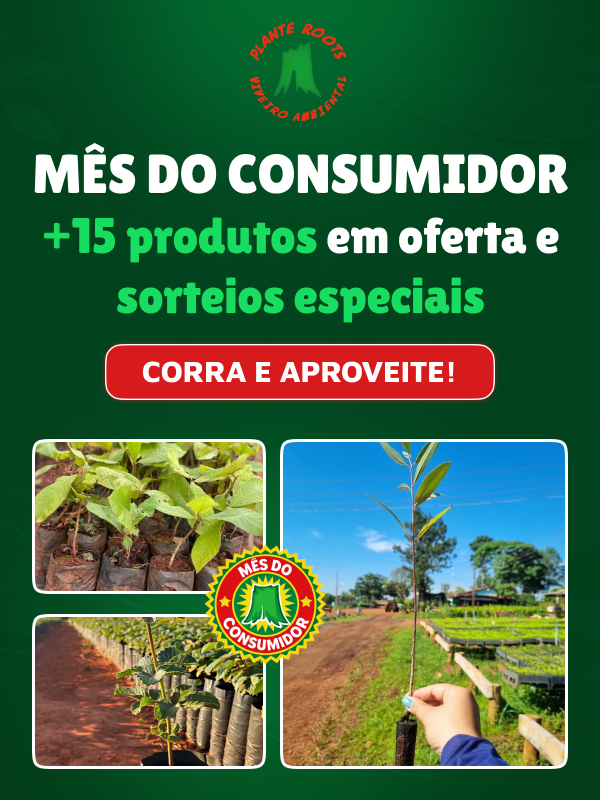 viveiro-ambiental-mes-do-consumidor